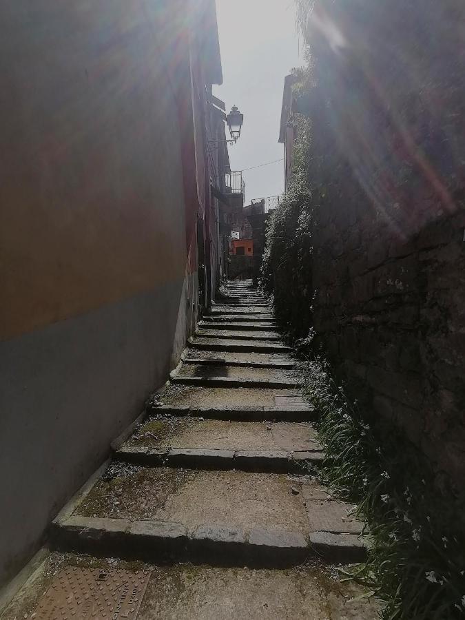 Da Greta Villa La Spezia Eksteriør bilde
