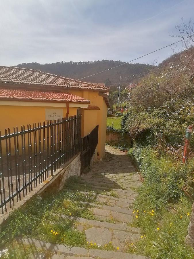 Da Greta Villa La Spezia Eksteriør bilde