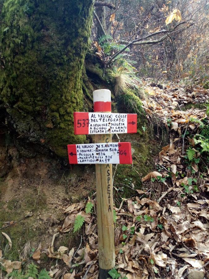 Da Greta Villa La Spezia Eksteriør bilde